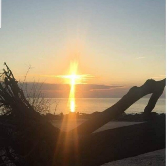 Meet your Posher, Yvette - Picture 1 of 1